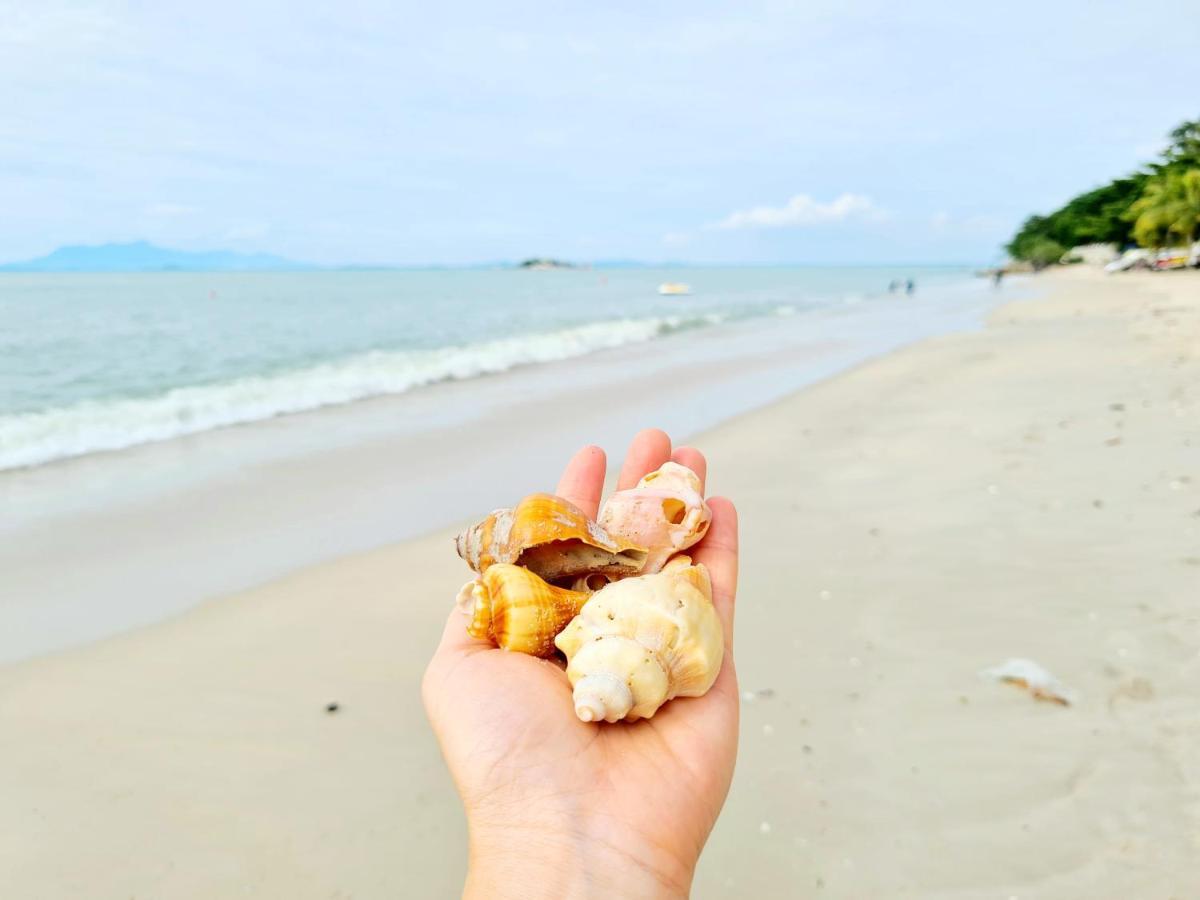 527 Beachhouse L 5 Bedroom With Swimming Pool - 3Min Walk To The Beach ทานจุงบุงาห์ ภายนอก รูปภาพ